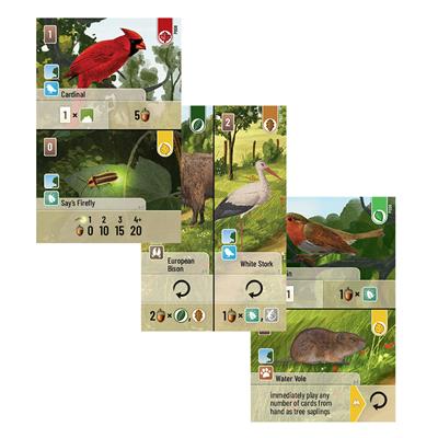 Forest Shuffle Exploration - Image 2