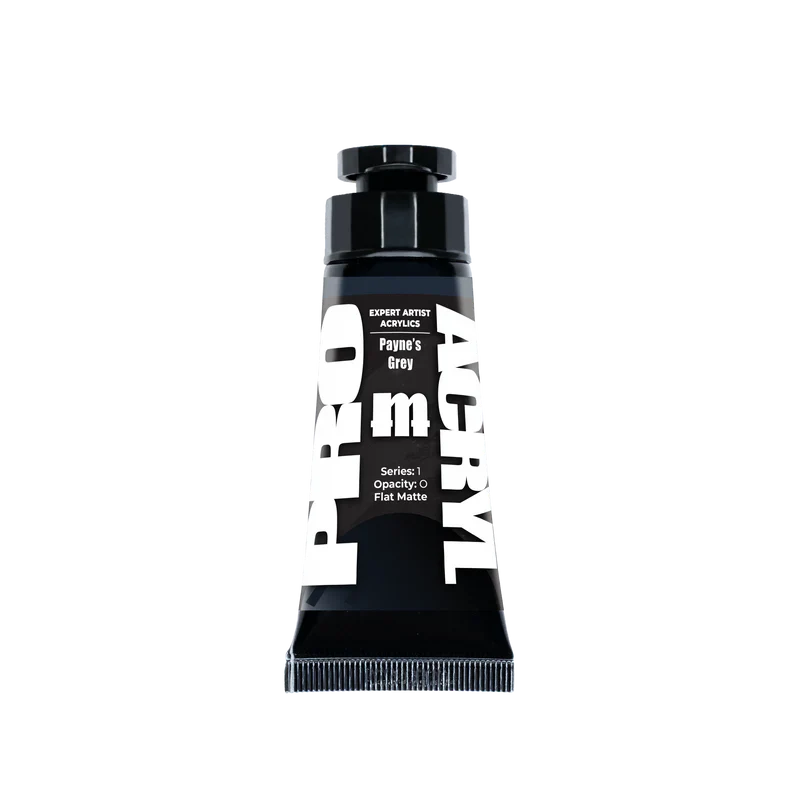Pro Acryl: Expert Acrylics Payne's Grey